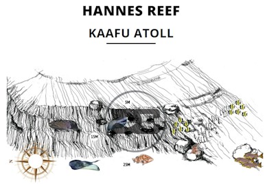 Hannes Reef